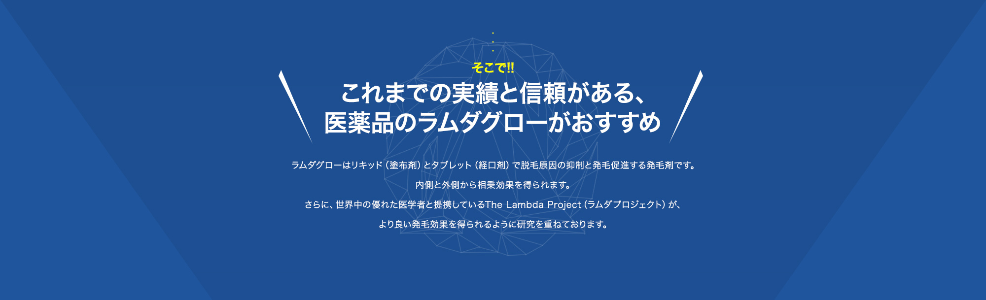 これまでの実績と信頼がある、医薬品のラムダグローがおすすめ