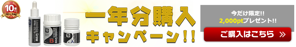 一年分購入キャンペーン