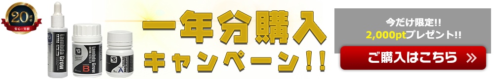 一年分購入キャンペーン