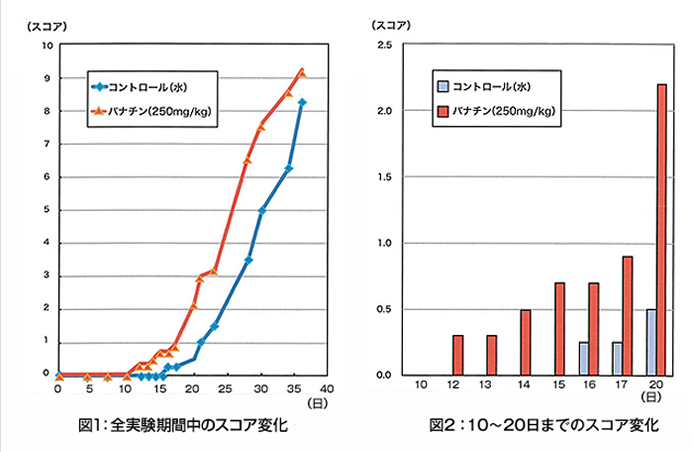 実験のスコア結果